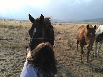 Rear view of horse standing on field against sky