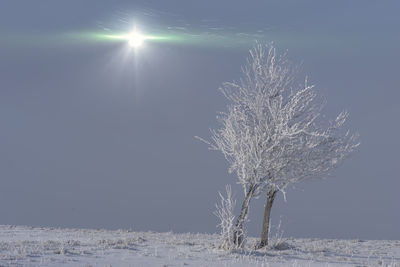 winter