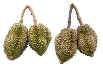 Close-up of fruits against white background