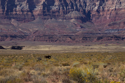 View of landscape with mountain in background