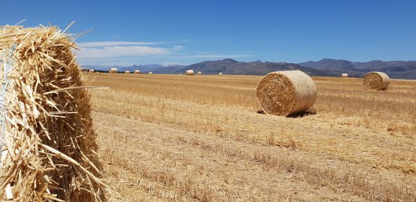 Hay bales on field against sky