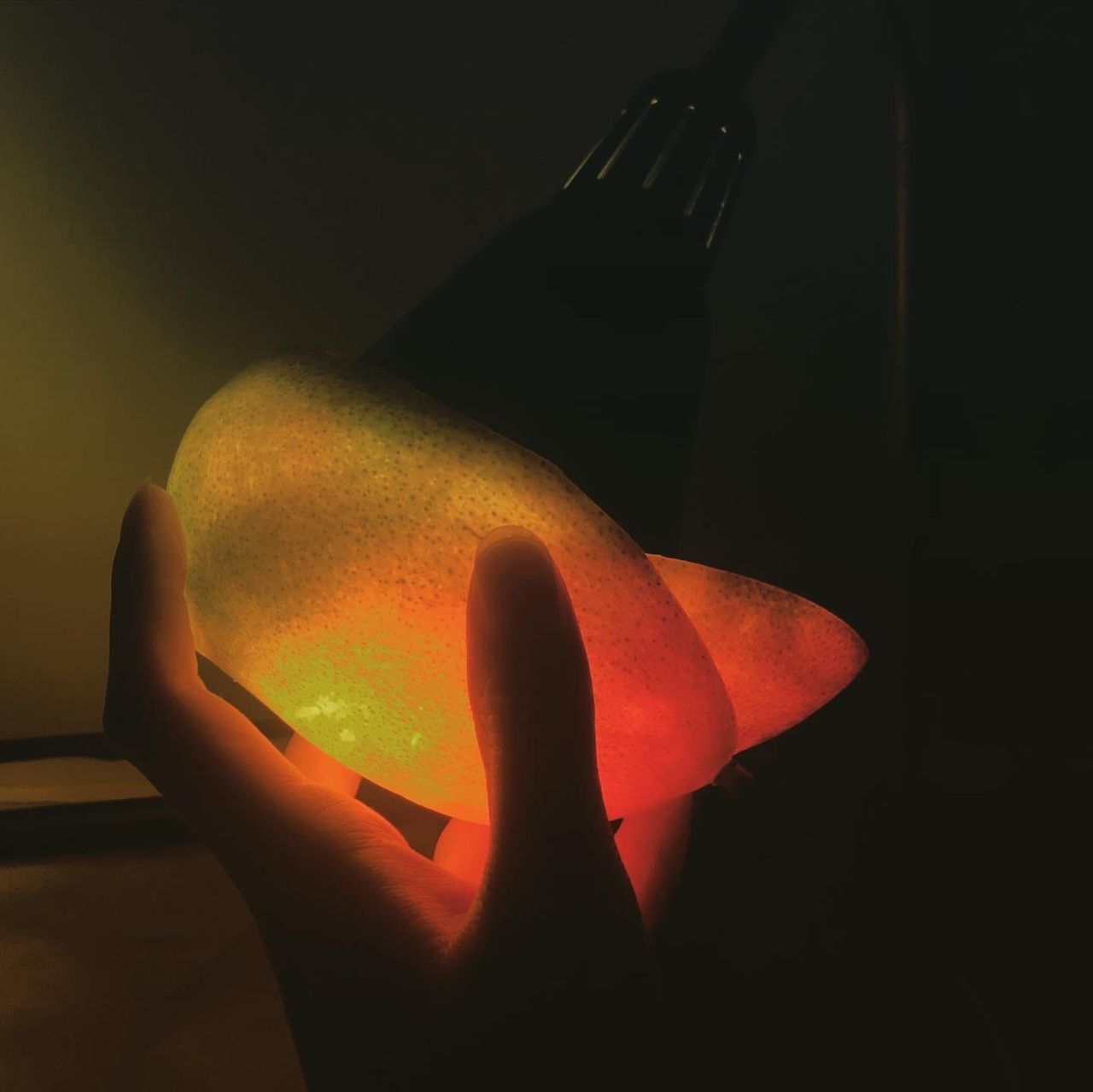 CLOSE-UP OF HAND HOLDING ILLUMINATED LIGHT