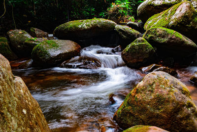 Stream flowing through rocks in forest