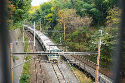 High angle view of train flanked by trees