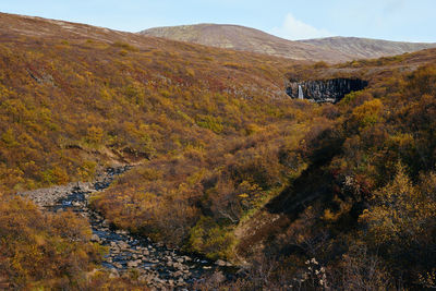 Autumn in skaftafell, iceland