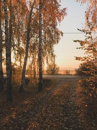 Trees on landscape against sky during autumn