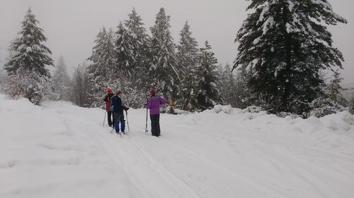 Rear view of people walking on snow covered trees