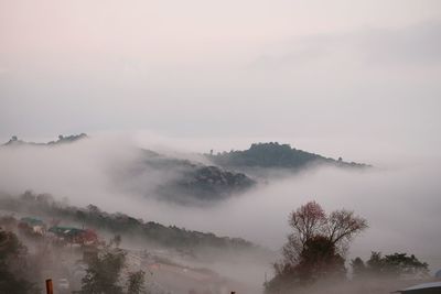 Scenic view of tree mountains against sky during winter