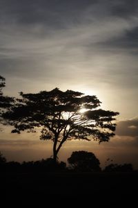 Silhouette trees on field against sky at sunset