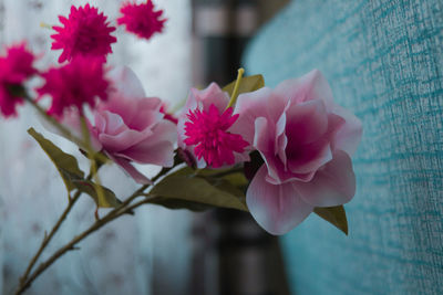 Close-up of pink flowering plant