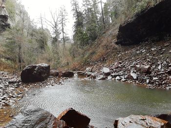 Stream flowing through rocks in forest