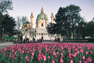 View of flowering plants outside temple
