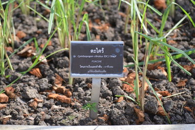 soil