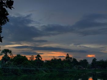 Silhouette trees against sky during sunset