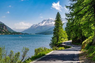 Upper engadine, lake sils, and the village of isola, photographed from above in summer.