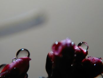 Close-up of ice cream