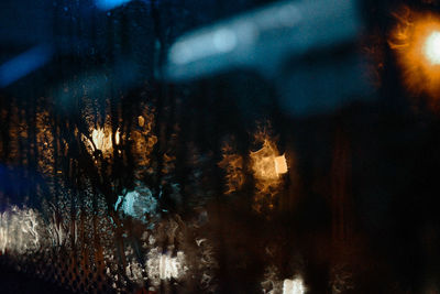 Full frame shot of illuminated trees at night