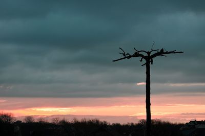 Silhouette of trees at sunset