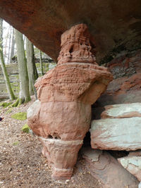 Close-up of rock formation in forest