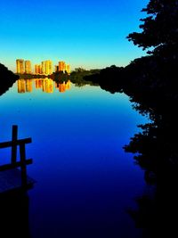 Reflection of trees in calm water