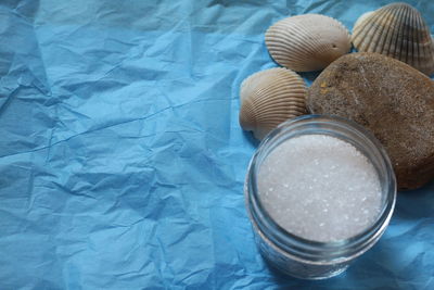 Close-up of animal shells by stone on paper