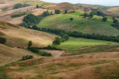 Scenic view of landscape