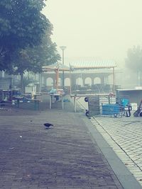 Scenic view of park against clear sky