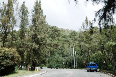 Cars on road amidst trees in forest against sky