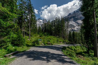 Road amidst trees in forest against sky