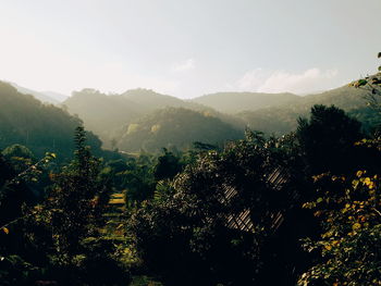 Scenic view of trees and mountains against sky