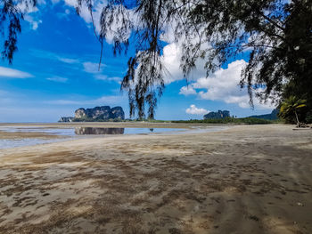Scenic view of beach against sky