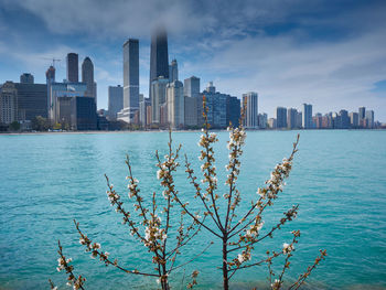 Sea by buildings in city against sky