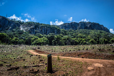 Scenic view of field against sky