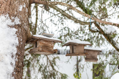 Homemade wooden bird's feeder on the tree in winter, under snow. 