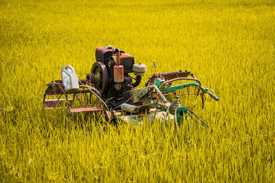 Tractor on agricultural field