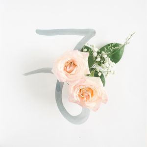 Close-up of rose bouquet against white background