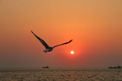 Bird flying over sea against sky during sunset