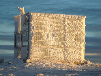 Bird perching on snow covered beach