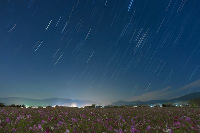 Scenic view of over field against star trails at night