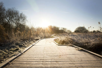 Dirt road amidst bare trees against clear sky