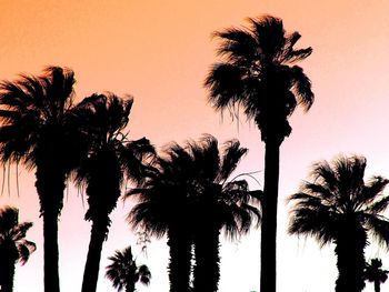 Low angle view of silhouette palm trees against clear sky