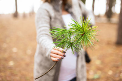 Midsection of woman holding plant