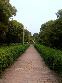 Dirt road amidst trees against clear sky