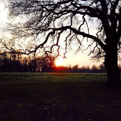 Scenic view of landscape at sunset