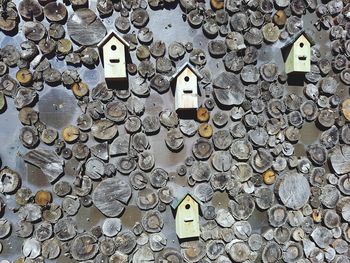 High angle view of coins on metal