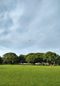 Scenic view of grassy field against sky