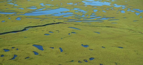 High angle view of turtle in water