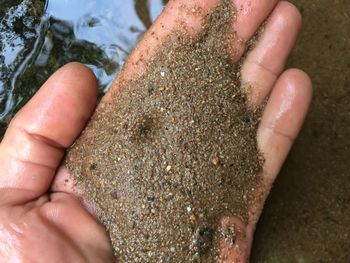 Close-up of hand holding sand