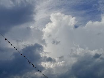 Low angle view of birds perching on cable