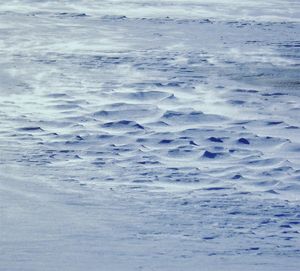 Full frame shot of sea shore